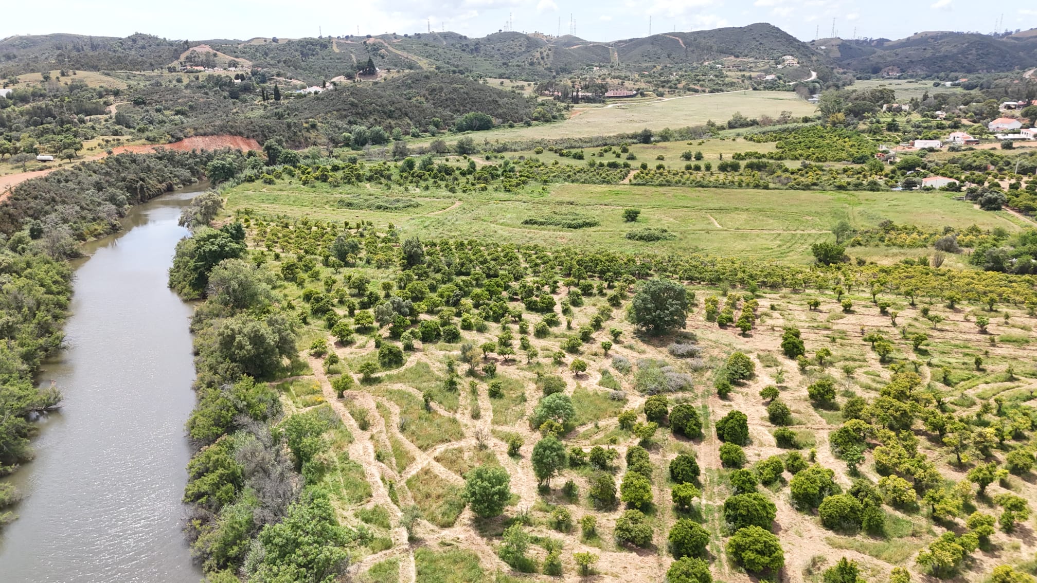 Orange Grove Adventure: From Tree to Table — photo 4